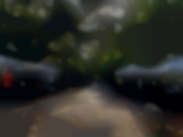 Tallahassee Downtown Market