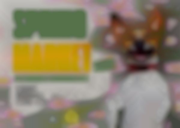 Best Friends Pet Resource Center Annual Spring Market