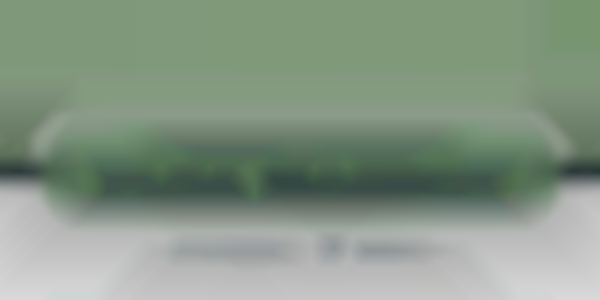 Iowa State Fair Flea Market