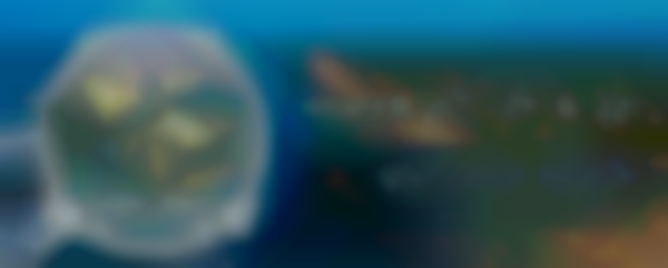 Ocean Shores 18th Annual Razor Clam & Seafood Festival