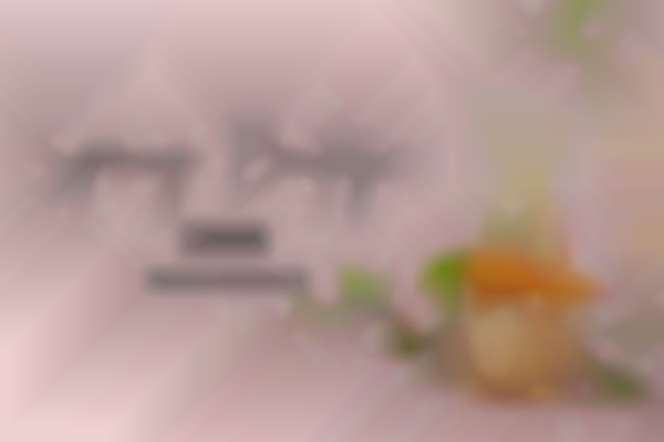 Big Rock Creek 6th Annual Spring Boutique