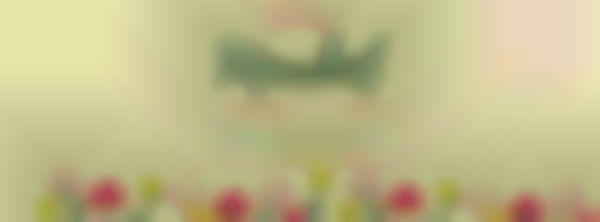 Spring Market Craft and Vendor Show