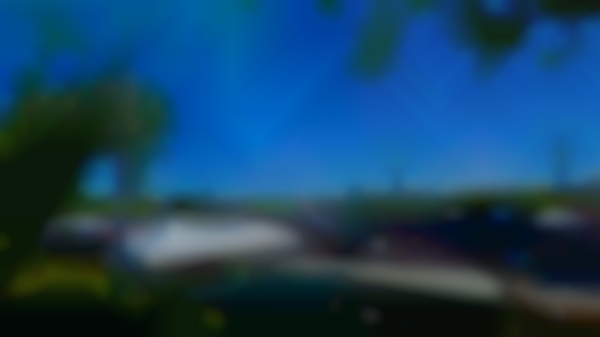 Taylor Trades Outdoor Market - July 12