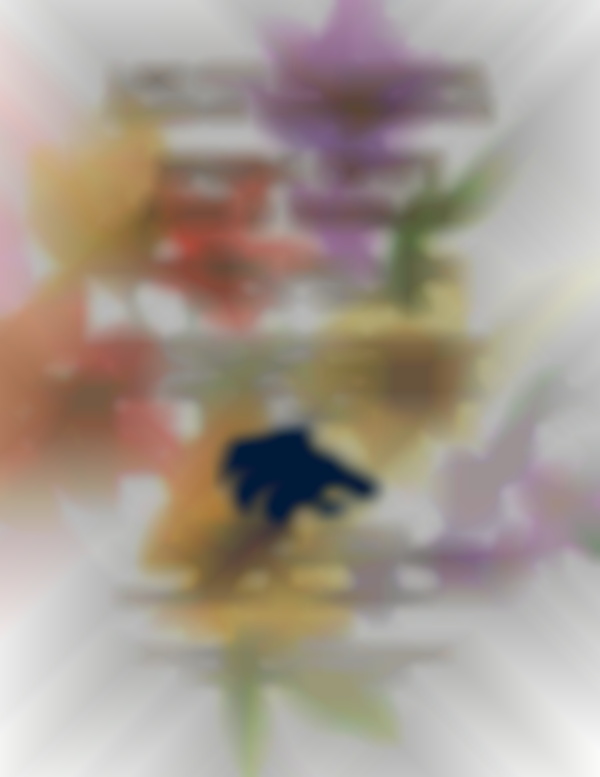 LCHS Spring Craft Fair & Market benefiting the Class of 2026 Safe and Sober Grad Party