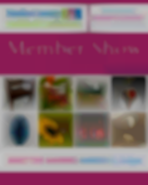 Bucks County PA Guild of Craftsmen Member Show and Sale