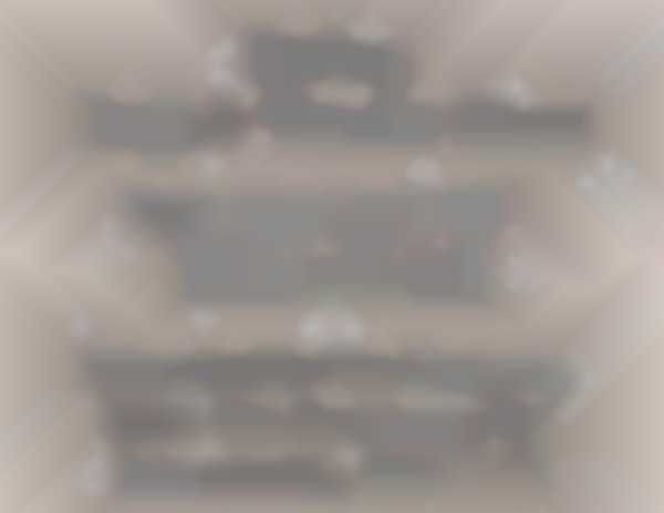 Schnecksville Spring Craft & Vendor Show 