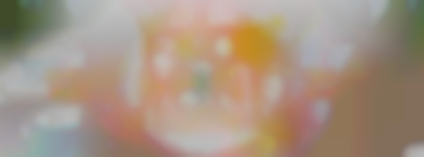 DAVIS FARM FOOD & PINE FESTIVAL