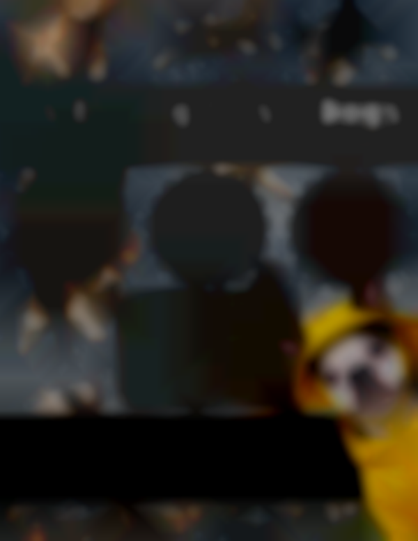 It's Raining Cats & Dogs - "A Paw-some Day Out for Pets & People"