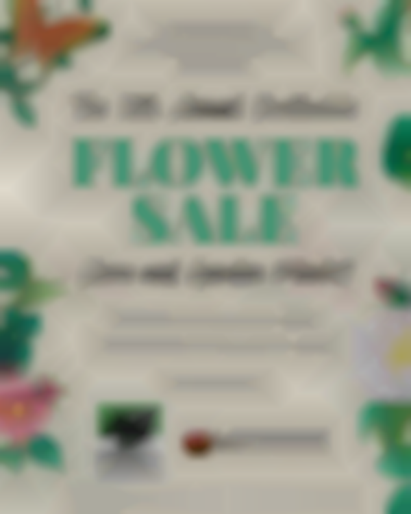 2025 Northville Flower Sale | May 23rd & 24th