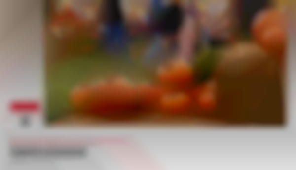 2025 Fall Fun Festival in Keller | Sat, Oct 4