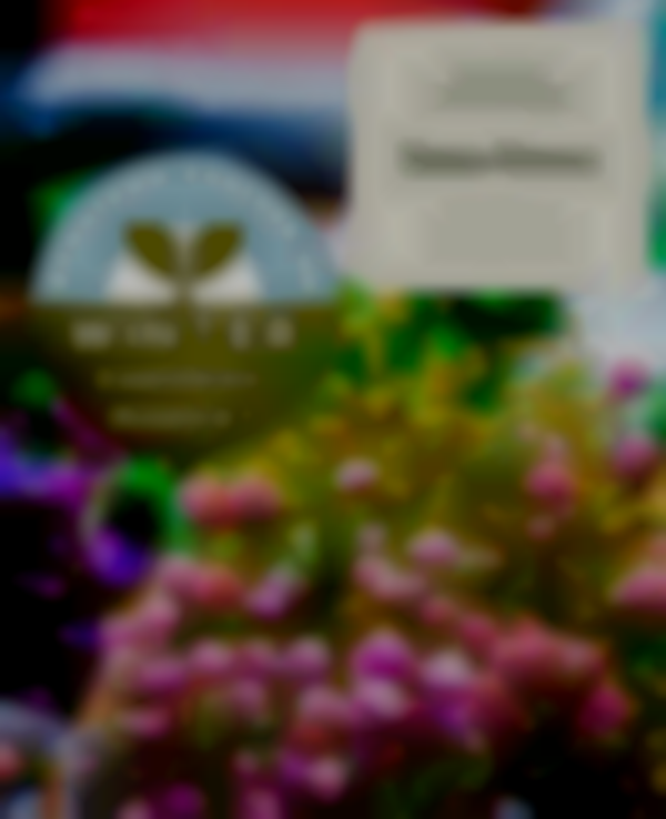 2025-2026 Downtown Concord Winter Farmers’ Market