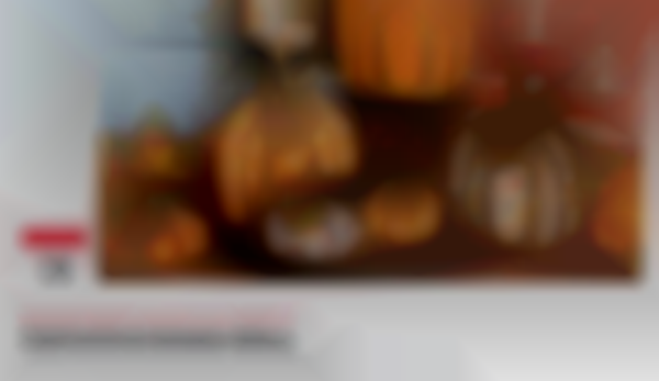 2025 Petaluma Vintage Market | Oct 19th