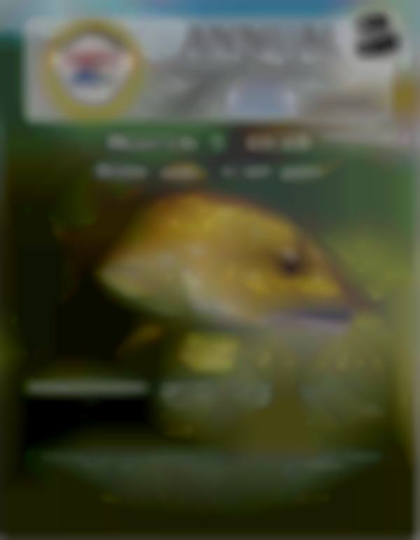 2026 GBFA 17th Annual Fishing Flea Market | Mar 7th