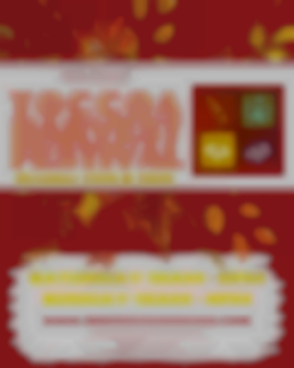 2025 48th Annual Toccoa Harvest Festival | October 25-26