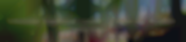 2026 Arkansas Highland Games | June 6-7