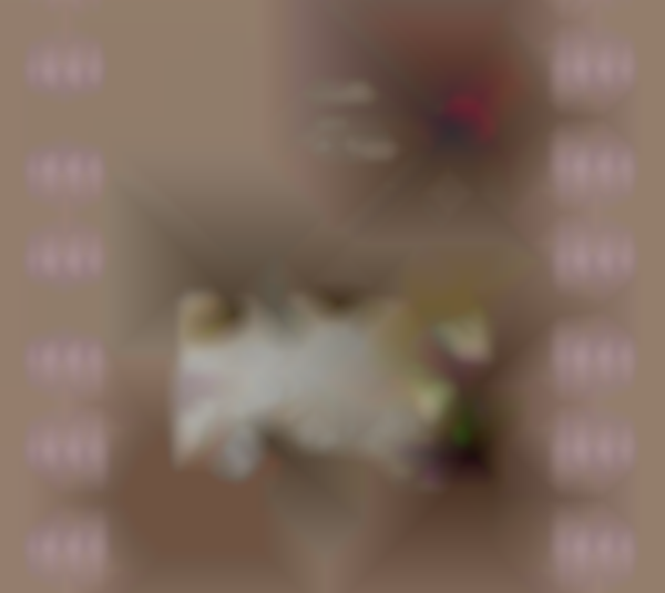 2026 Millard South Spring Craft Show