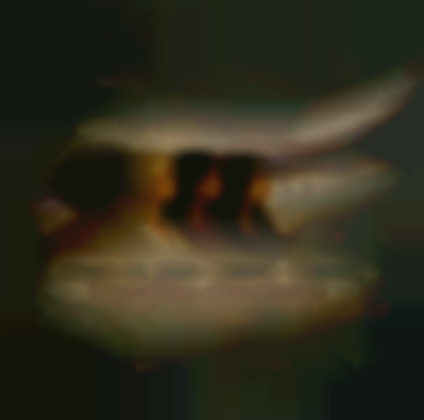 She Writes. She Works. She Wins.