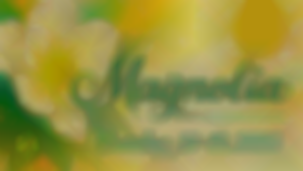 2025 Magnolia Arts Festival | October 18-19