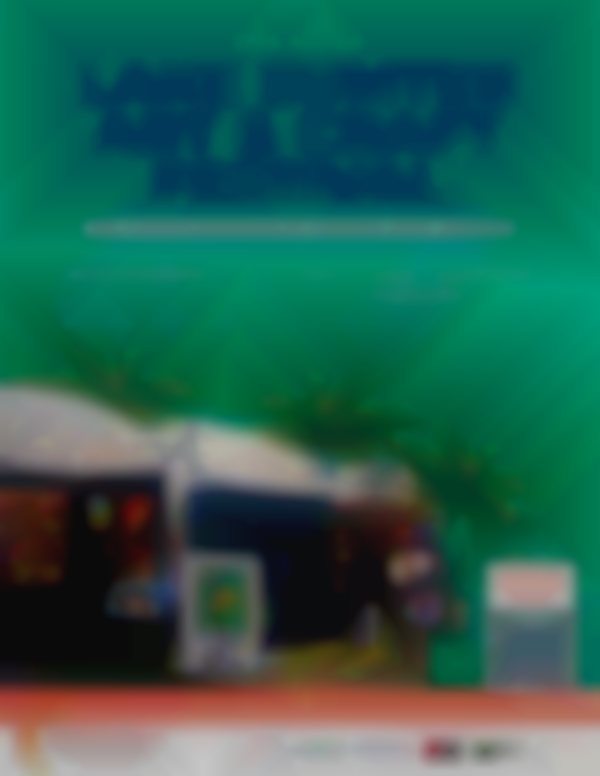 28th Annual Lake Sumter Art & Craft Festival | Nov 1-2