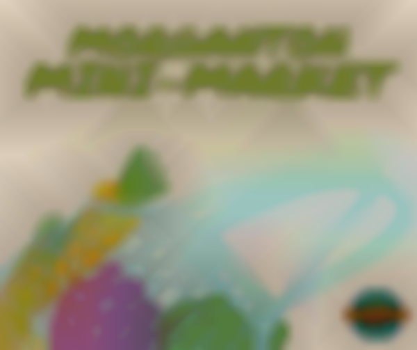 2025 Morganton Wednesday Mini Market | Oct 22nd