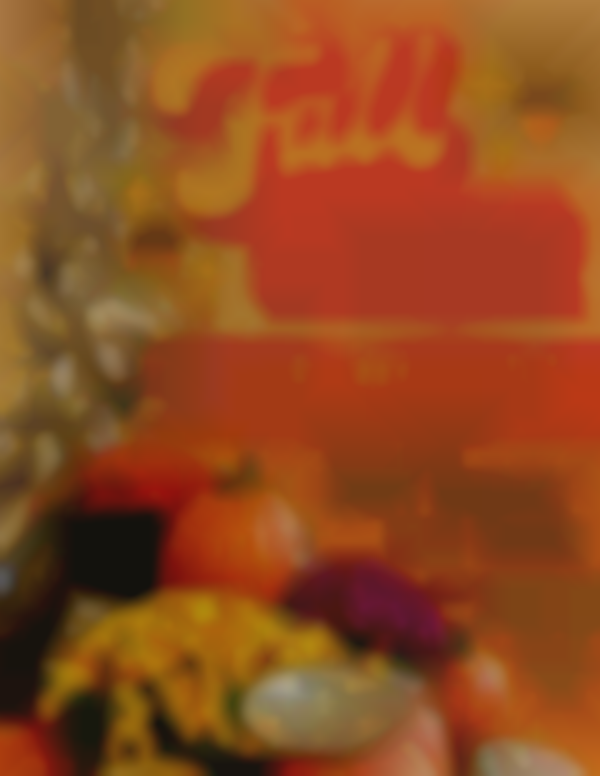 2025 Fall Bazaar at Mills Park Hotel | Oct 11th