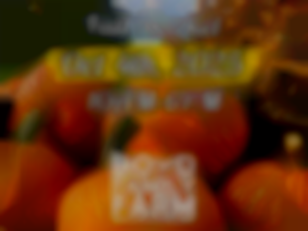 Boyd Family Farm Fall Market 2025