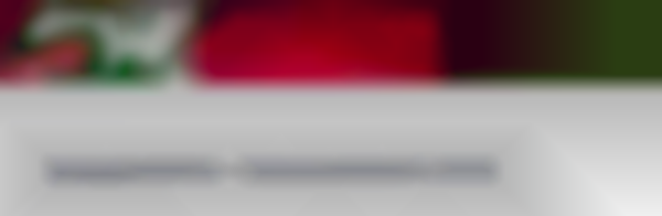 2026 SHHS PTCO Spring Craft Fair — Sat, Mar 7th