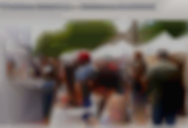 The Denver Street Fairs – Midsummer Arts Festival