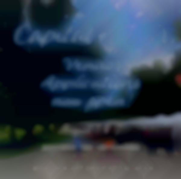 52nd Annual Capital A’Fair