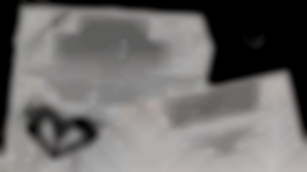 2026 Broken Hearts Festival & Oddities Market at Wildflower Community School — Feb 14th