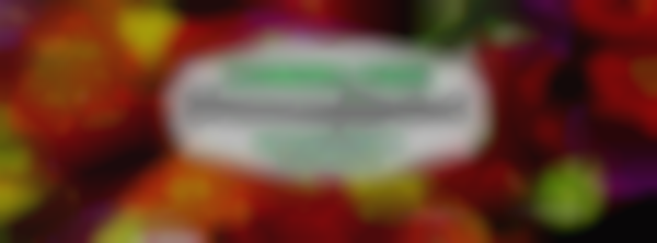 2025 Severna Park 8th Annual Christmas Market — Dec 13th