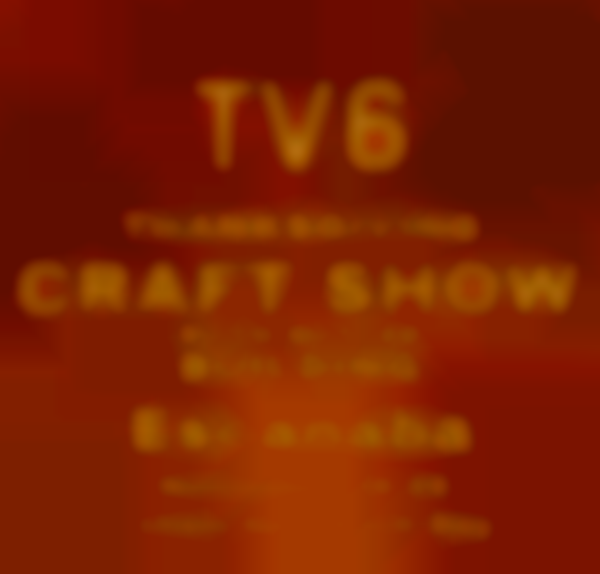 TV6 Thanksgiving Craft Show 2025