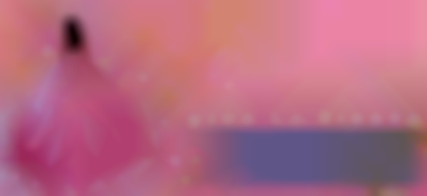 2026 Houston Quinceañera Expo | Feb 22