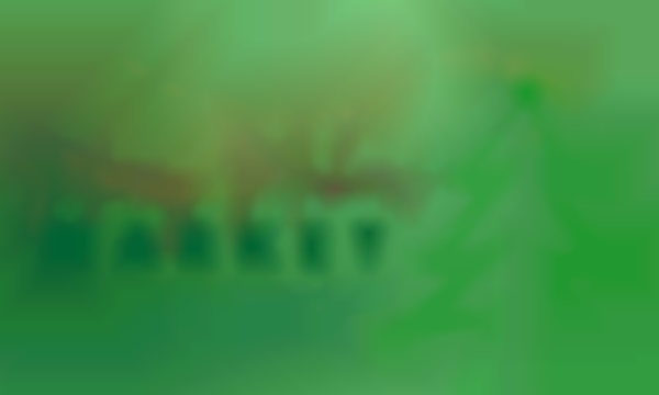 2025 Bangor Merry Makers Market