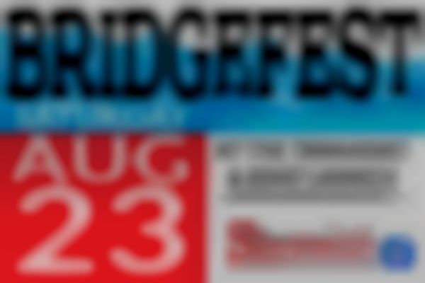 2025 Saranac Bridge Festival