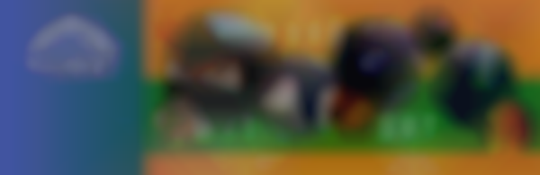 City of Rochester Public Market