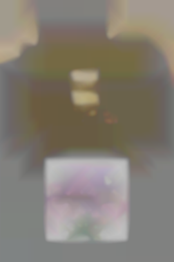 2025 Auburn Wedding Expo