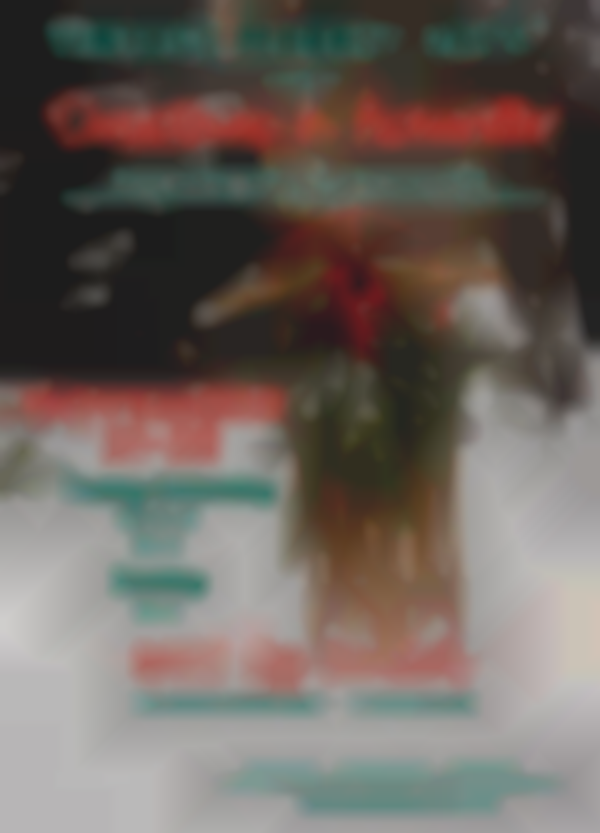 2025 Vintage Market Days® of Asheville Metro ~ Christmas in Asheville | Nov 21-23