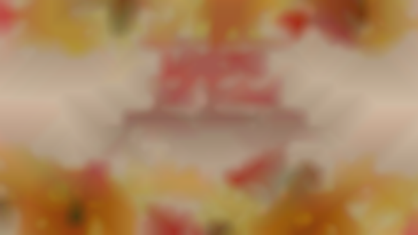 2025 LCCTC Annual Fall Festival | Oct 4th