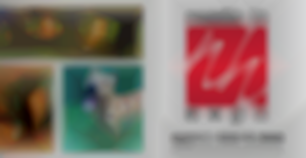 29th Made in NH Expo