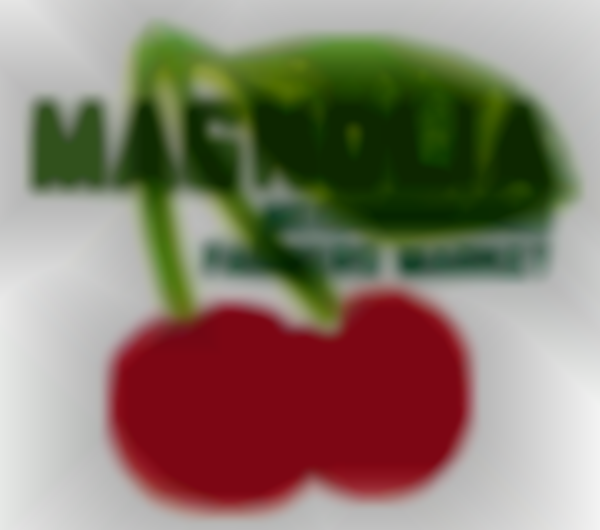 2025 Fall Harvest Market in Magnolia Village | November 22