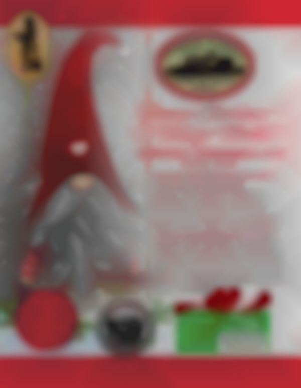 2025 Pioneer Christmas & Vintage Market — Dec 6th