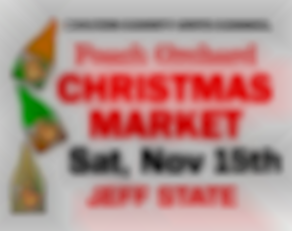 4th Annual Peach Orchard Christmas Market