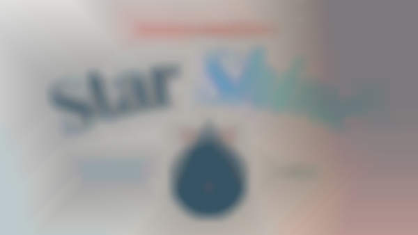 2025 StarShine: Christmas in the Village