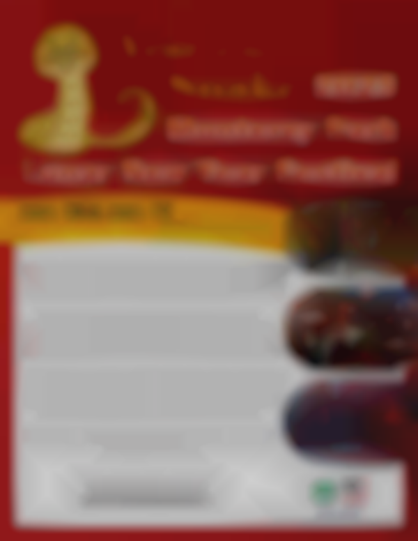 Lunar New Year Festival – Monterey Park