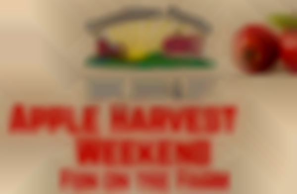 2025 Apple Harvest Weekends at Donaldson Farms