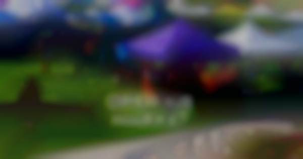 2025 Open Air Market at Painted Prairie | Saturday (12th of July)