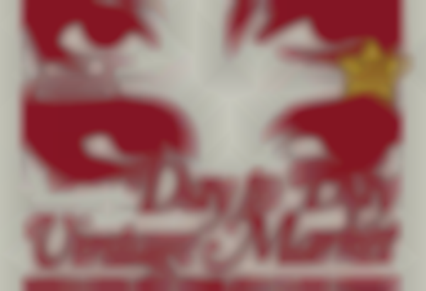 2025 Day to Day Vintage Market — Dec 20th