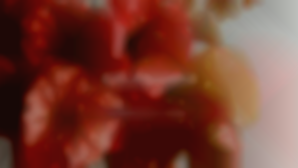 Calabasas Farmers Market | May 3rd