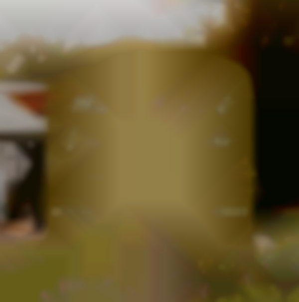 2025 Autumn & Holiday Market | November 21-22